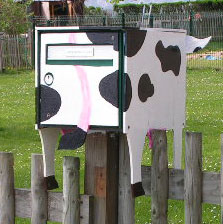boite vache dos