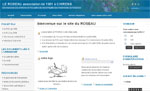 le roseau